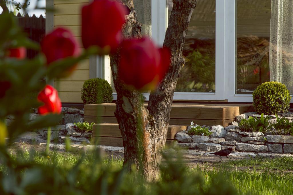 Kaevu Holiday House Pärnu Rum bild